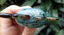 co15_10_11a.jpg
