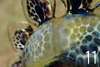 co15_10_15_11x300.jpg