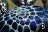 co15_10_15_8x300.jpg