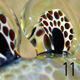 co15_10_16_11x300.jpg