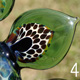 co15_10_16_4x300.jpg