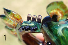 co15_10_17_1x300.jpg