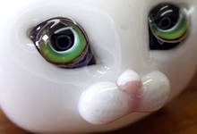 n001.jpg