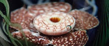 co16_10_13a.jpg