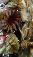 P2250025_co.jpg