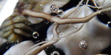 P2250028_co.jpg