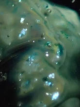 co17_3_24u53c.jpg