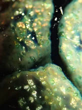 co17_3_25_u54c.jpg