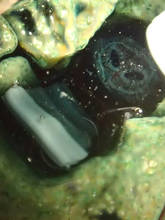 co17_3_u54a.jpg