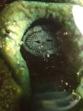 co17_3_u54b.jpg