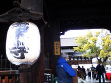 t012.jpg