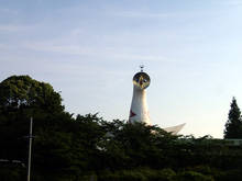 t001.jpg