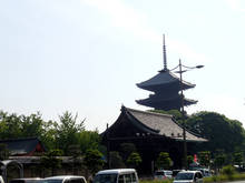 t003.jpg