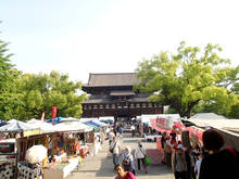 t004.jpg