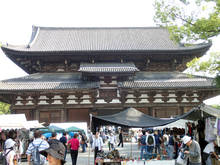 t005.jpg