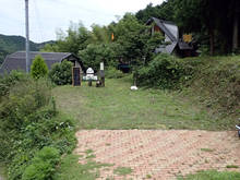 pd001.jpg