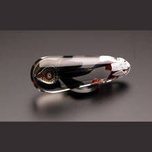 e1101.jpg