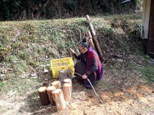 p032.jpg