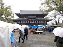 toji011.jpg