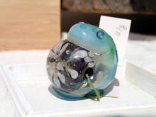 t007.jpg