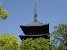 t024.jpg