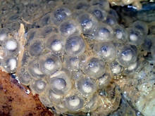 yp_i012.jpg