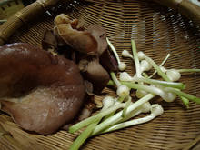 yp_i024.jpg
