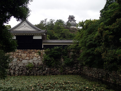 tpc_010.jpg