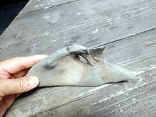 fo0802.jpg