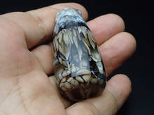 tpca0102.jpg