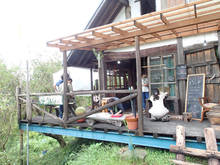p003.jpg
