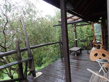p006.jpg