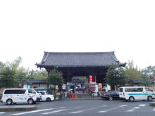t01.jpg