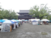 t03.jpg