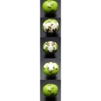 610103.jpg