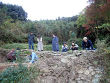 pd012.jpg