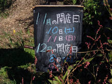 pd099.jpg