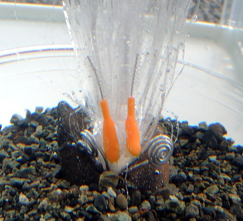 k02.jpg