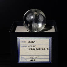 P4170470.jpg
