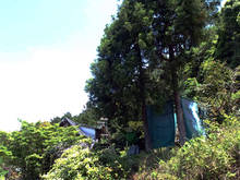 p004.jpg