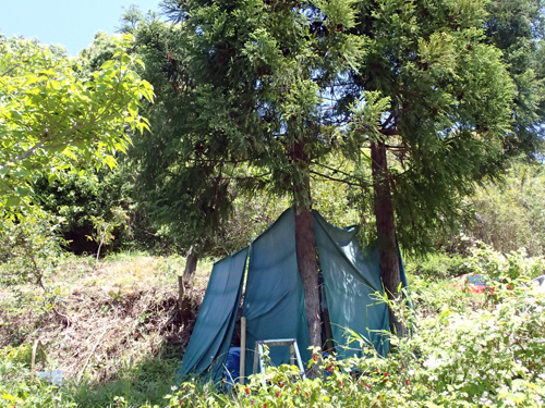 P5110841.JPG