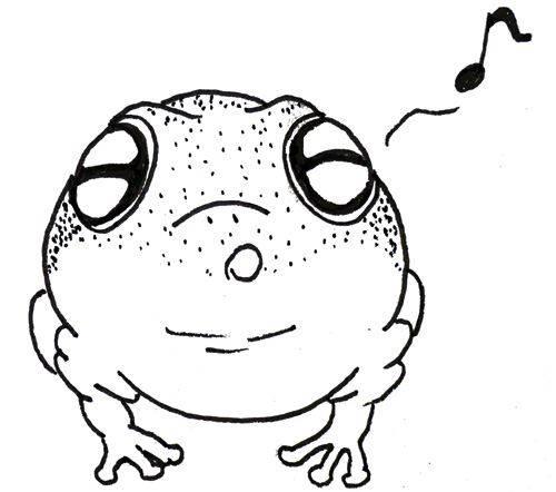 pipi001.jpg