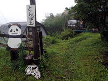pd002.jpg