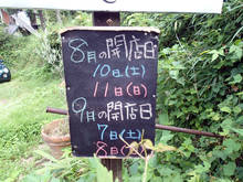ym099.jpg