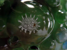 nna010.jpg
