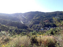 pa001.jpg