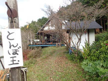 pa00.jpg