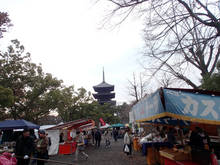 t003.jpg