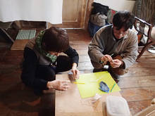 p017.jpg