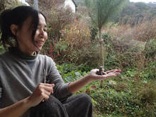p018.jpg